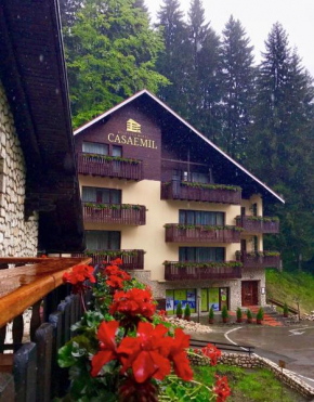 Гостиница Boutique Hotel Casa Emil, Брашов